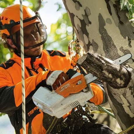 Pilarka akumulatorowa dla arborystów MSA 161 T Stihl 12522000068