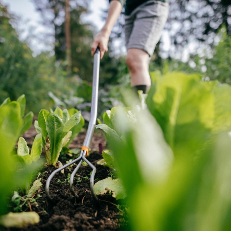 Kultywator ERGONOMIC, Fiskars 1076978