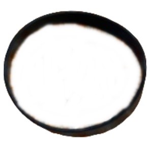 Pierścień gumowy, Stihl 42017068801