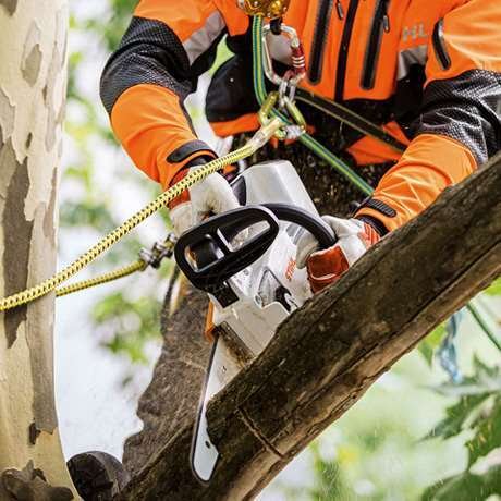 Pilarka akumulatorowa dla arborystów MSA 161 T Stihl 12522000068