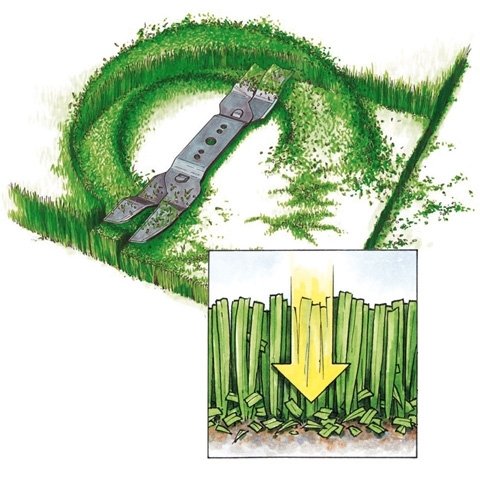 Stihl 69090071039 amk 448