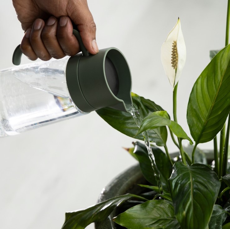 Plant Care Szklana konewka do podlewania roślin doniczkowych, Fiskars 1080775