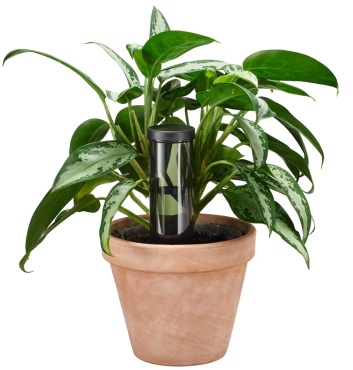 Plant Care Dozownik wody do roślin, nawadniacz 350 ml, Fiskars 1075380