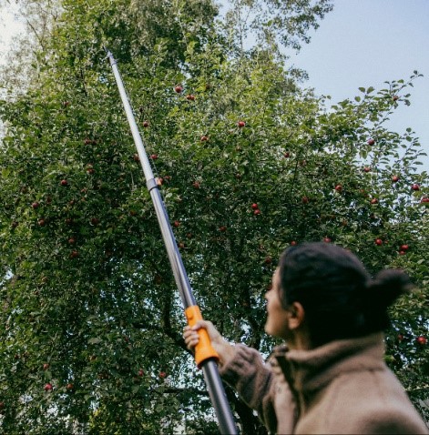 Głowica sekator ogrodowy do cięcia suchych gałęzi na tyczkę OneClick, Fiskars 1080702