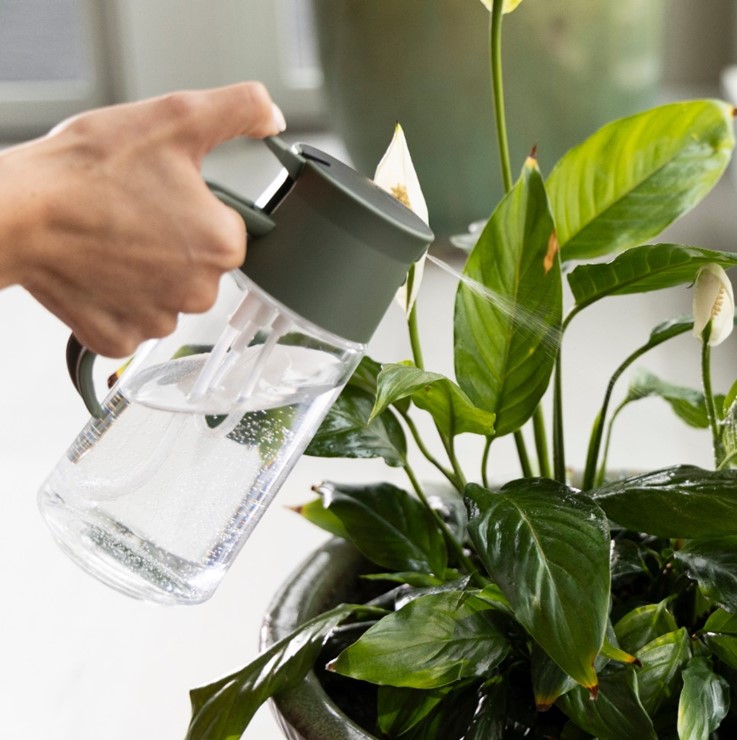 Plant Care Szklana karafka do spryskiwania i podlewania roślin, Fiskars 1080774