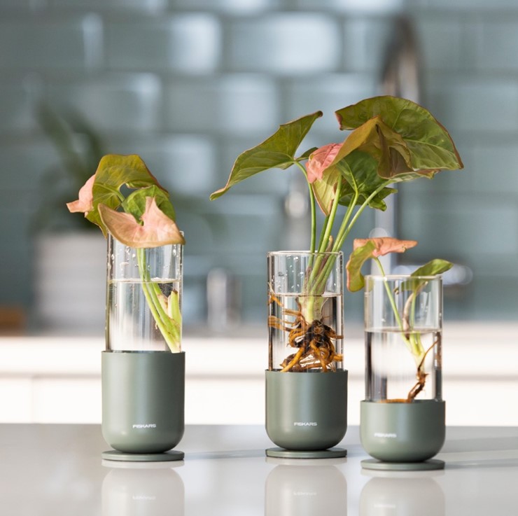 Plant Care Zestaw 3 szklanych pojemników do rozmnażania roślin, Fiskars 1080910