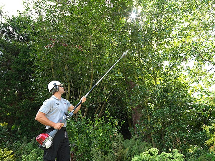 Honda Verstaool podkrzesywarka SSPP E, Aries Power