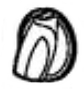 Pokrętło, Stihl 47764302900