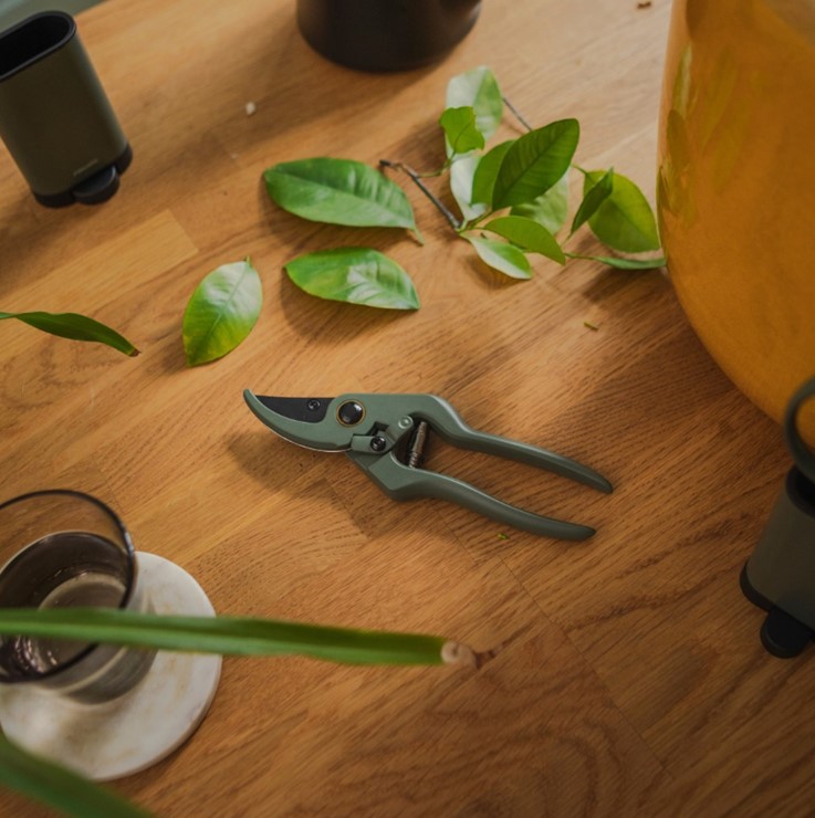 FISKARS Plant Care Sekator z pojemnikiem, Fiskars 1075314