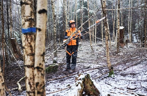 Zestaw Advance X - TREEm HT, Stihl 00002000006