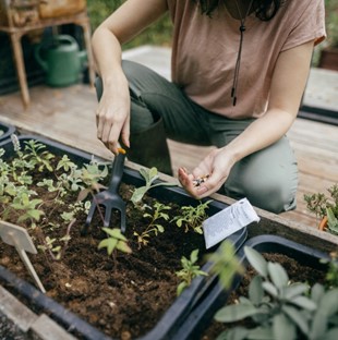 SOLID Kultywator mały, Fiskars 1072102