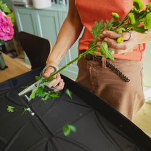 FISKARS Plant Care Nożyczki do roślin z pojemnikiem, Fiskars 1075316