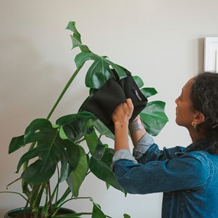 Plant Care Ściereczka do pielęgnacji roślin doniczkowych, Fiskars 1075318