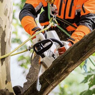 Pilarka akumulatorowa dla arborystów MSA 161 T Stihl 12522000068