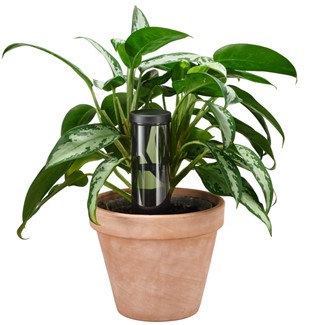 Plant Care Dozownik wody do roślin, nawadniacz 350 ml, Fiskars 1075380