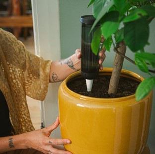 Plant Care Dozownik wody do roślin, nawadniacz 350 ml, Fiskars 1075380