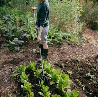 Kultywator ERGONOMIC, Fiskars 1076978