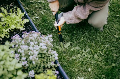 Głowica odchwaszczacz wąski ogrodowy OneClick, Fiskars 1080694