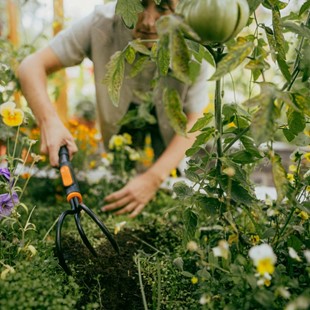 Głowica pazurki ogrodowe spulchniacz ręczny do ziemi OneClick, Fiskars 1080686