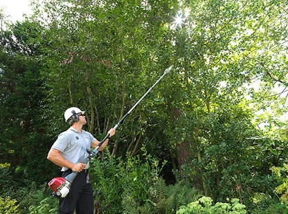 Honda Verstaool podkrzesywarka SSPP E, Aries Power