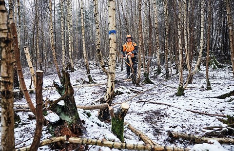 HTA 150 Stihl LA012000020