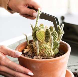 Plant Care Zestaw 5 metalowych narzędzi do sadzenia roślin, Fiskars 1080778