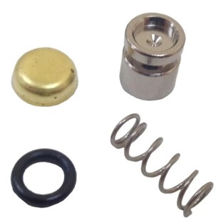 Zestaw tłoka pompy, 42381209700