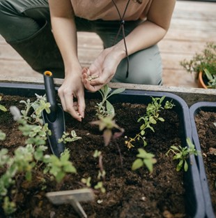 SOLID Łopatka ogrodowa mała wąska, Fiskars 1072101
