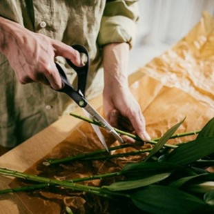 FISKARS Functional Form Nożyczki ogrodowe 21 cm Fiskars 1074544