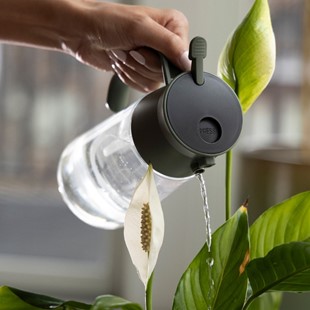 Plant Care Szklana karafka do spryskiwania i podlewania roślin, Fiskars 1080774