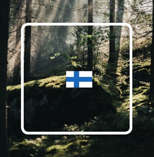 Norden Ostrzałka do siekier i noży, Fiskars 1071898