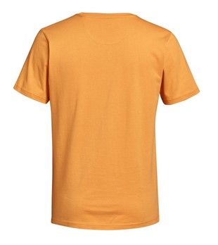 T-Shirt SUSTAINABLE LOGO MEN pomarańczowy, 04213004252, 04213004256, 04213004260, 04213004264