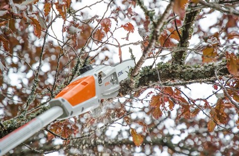 Podkrzesywarka akumulatorowa HTA 50 Stihl LA020116404, LA022000015